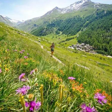 شقة Germain Close To Mont Blanc شامونكس